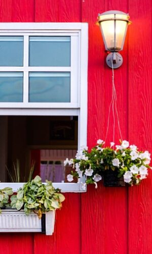 puitmaja-hooldus-01-ALpnlNXEryUz6Xx6